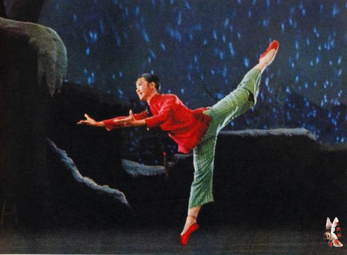 高仿药师资格证